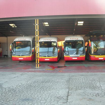 Autocares Hnos. Pérez Salinas flota de buses estacionada 