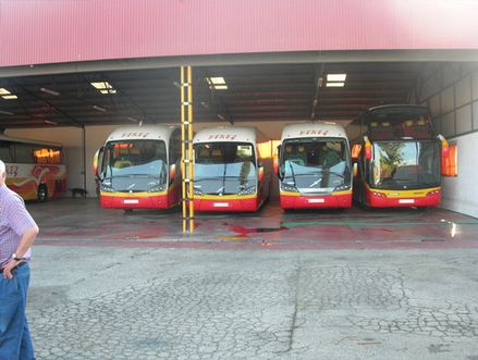 Autocares Hnos. Pérez Salinas flota de buses estacionada 